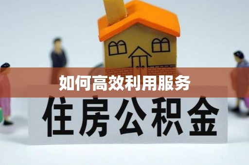 九如如何高效利用服务