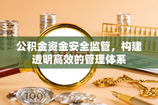 九如公积金资金安全监管，构建透明高效的管理体系