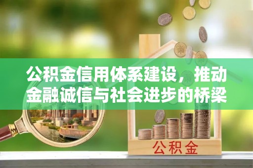 九如公积金信用体系建设，推动金融诚信与社会进步的桥梁