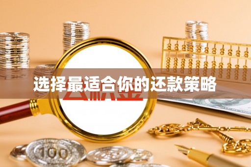 九如选择最适合你的还款策略