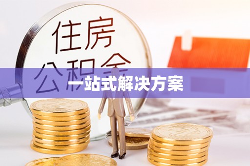 九如一站式解决方案