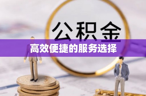 九如高效便捷的服务选择